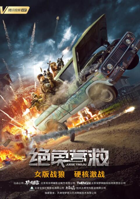 绝色营救海报