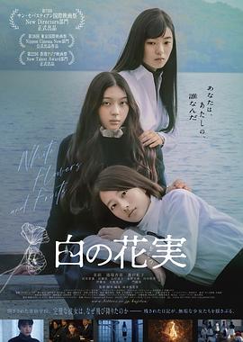 白色花果海报