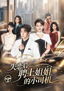 失恋后聘上姐姐的小司机