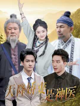 天降娇妻是神医海报