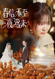 春信不至夜莺来海报