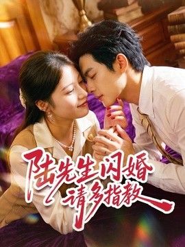 陆先生闪婚请多指教海报