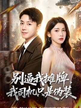 别逼我摊牌，我司机只是伪装