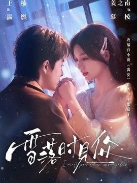 雪落时见你