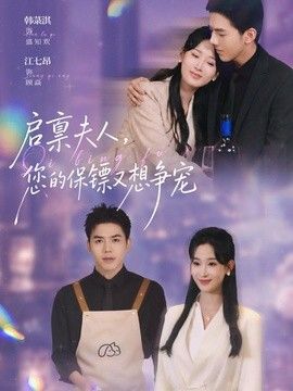 启禀夫人，您的保镖又想争宠海报