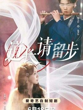 道长请留步海报