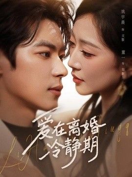 爱在离婚冷静期海报