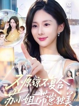 不原谅不复合，苏小姐带崽独美海报