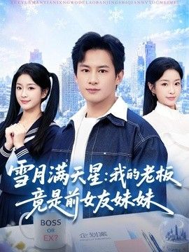雪月满天星：我的老板竟是前女友妹妹海报
