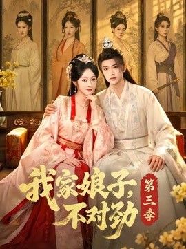 我家娘子，不对劲第三季海报