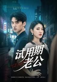 试用期老公海报