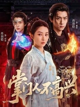 掌门人不高兴海报