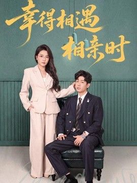 幸得相遇相亲时海报