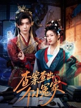 查案查出个小冤家