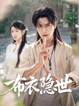 布衣隐世海报