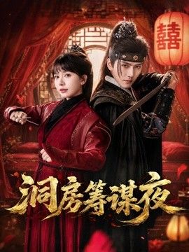 洞房筹谋夜海报