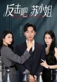 反击吧！苏小姐海报
