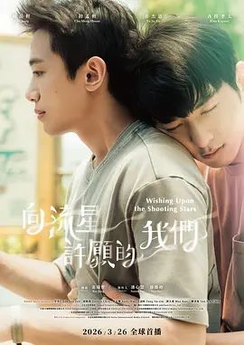 向流星许愿的我们海报