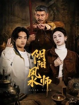 阴阳风水师海报