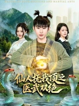 仙人抚我顶之医武双绝海报
