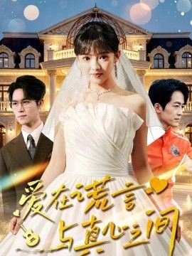 爱在谎言与真心之间