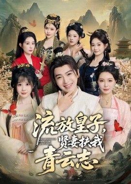 流放皇子，贤妻扶我青云志