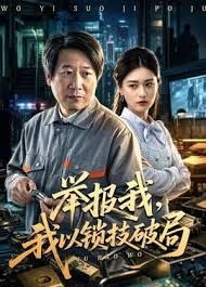 举报我，我以锁技破局海报