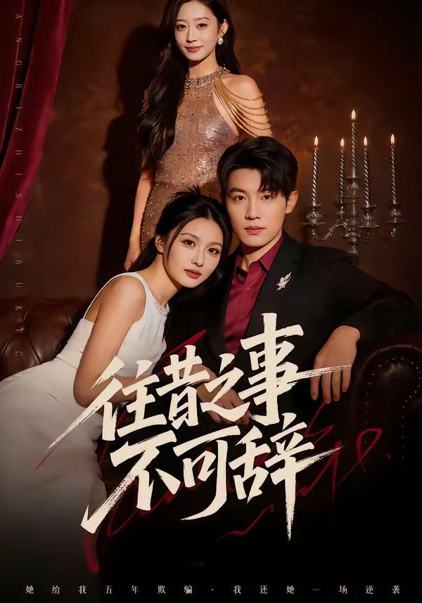往昔之事不可辞海报