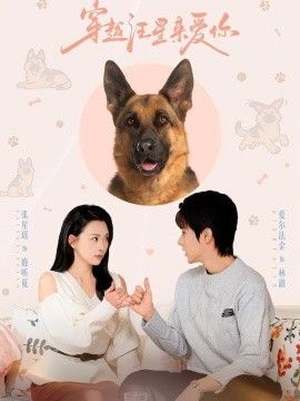 穿越汪星来爱你