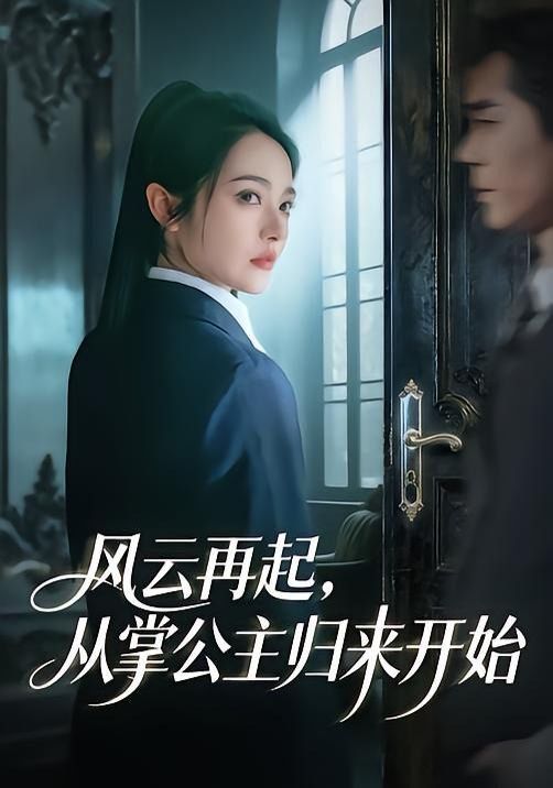 风云再起，从掌公主归来开始海报