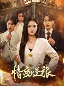 情殇逆旅海报