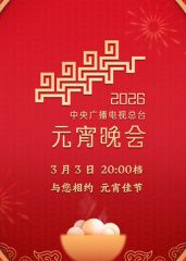2026年中央广播电视总台元宵晚会海报