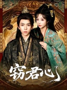 窃君心海报