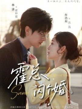 霍总闪个婚海报