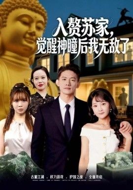赘苏家，觉醒神瞳后我无敌了海报