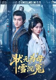 状元为母雪沉冤海报