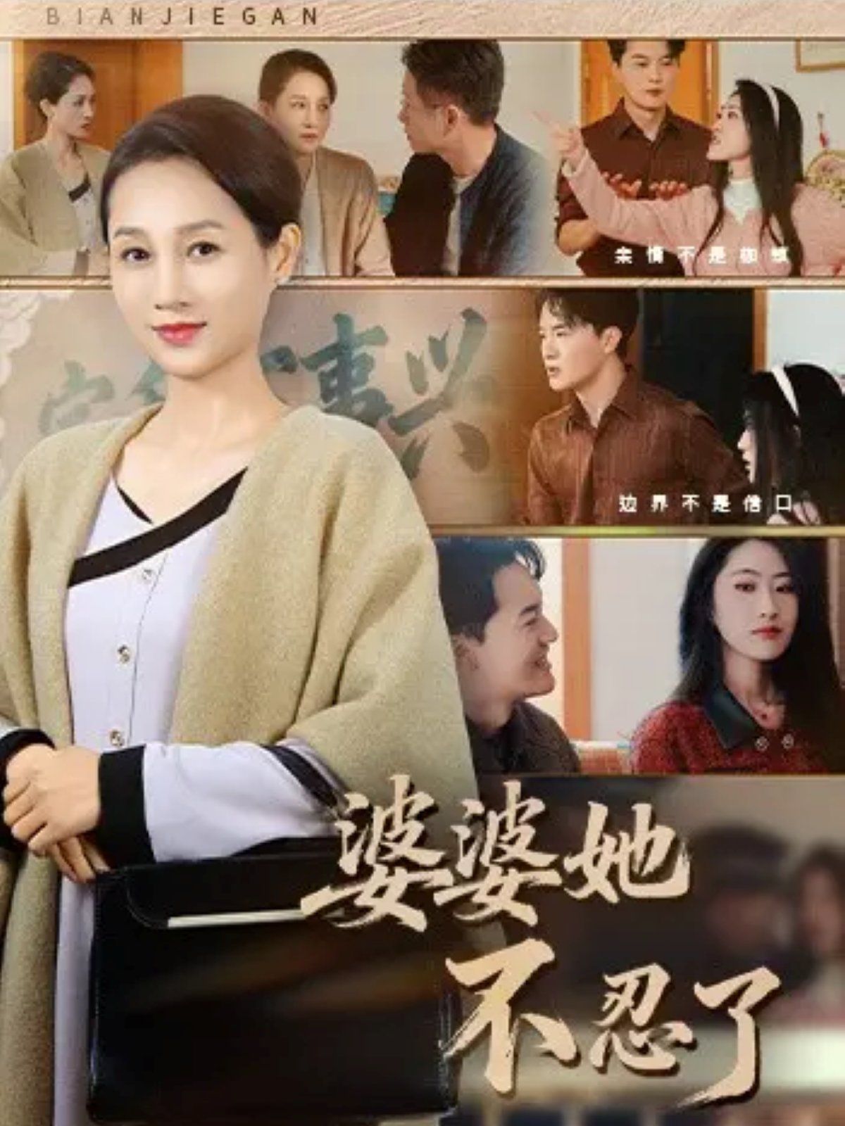 婆婆她不忍了海报