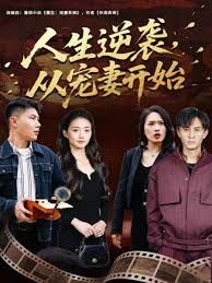 人生逆袭，从宠妻开始海报