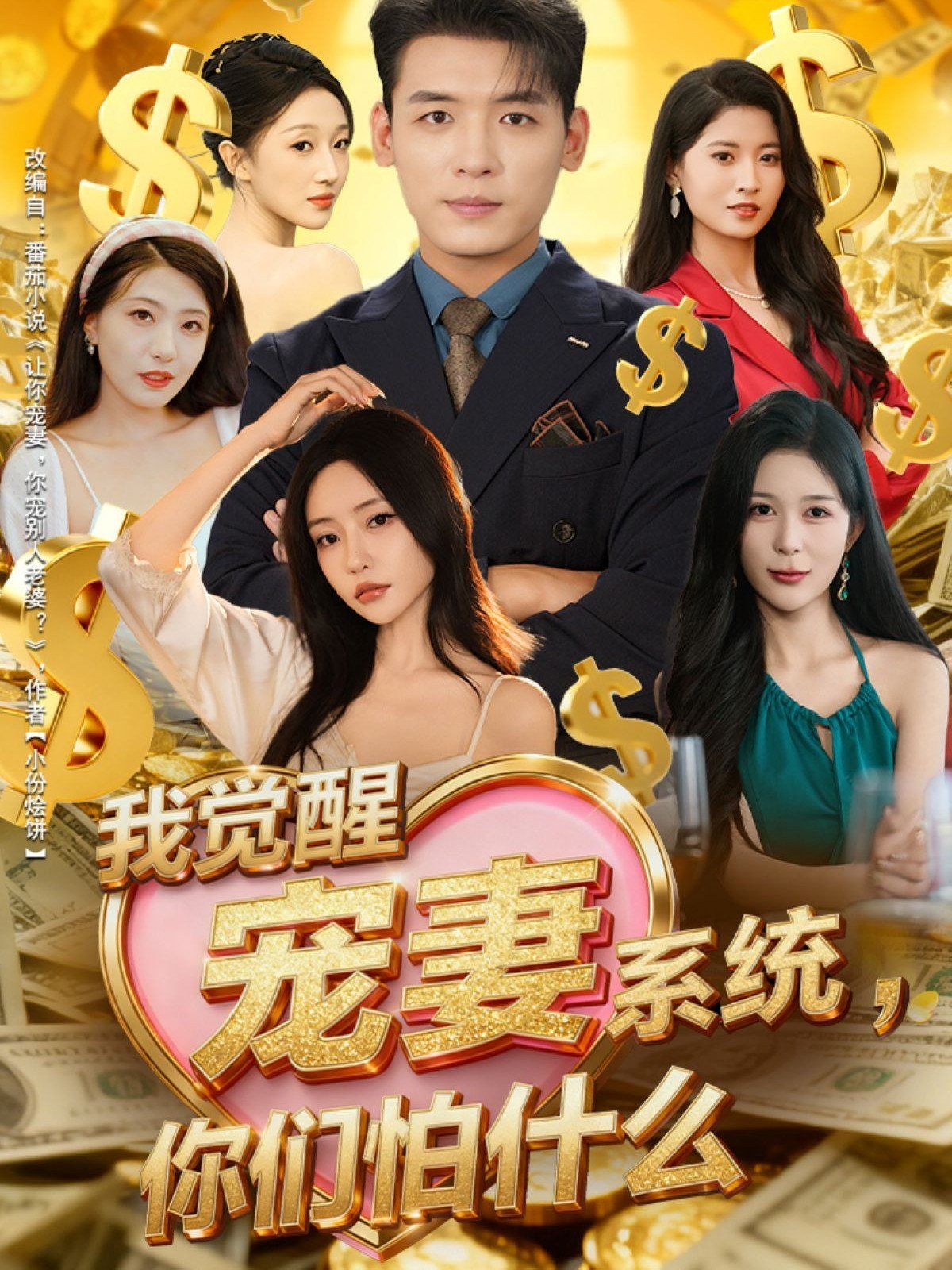 我觉醒宠妻系统你们怕什么，他们都说我有奸雄之风海报