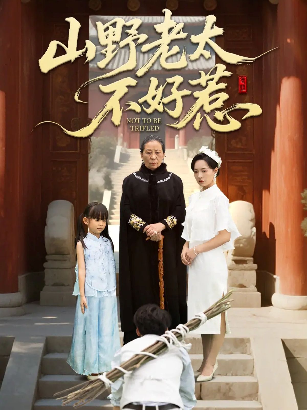 山野老太不好惹（奶奶一脚震全城）海报