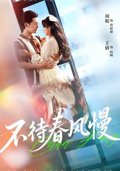不待春风慢海报