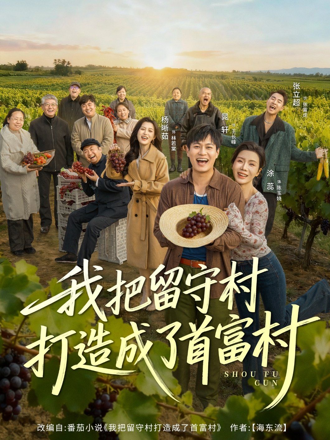 我把留守村打造成了首富村海报