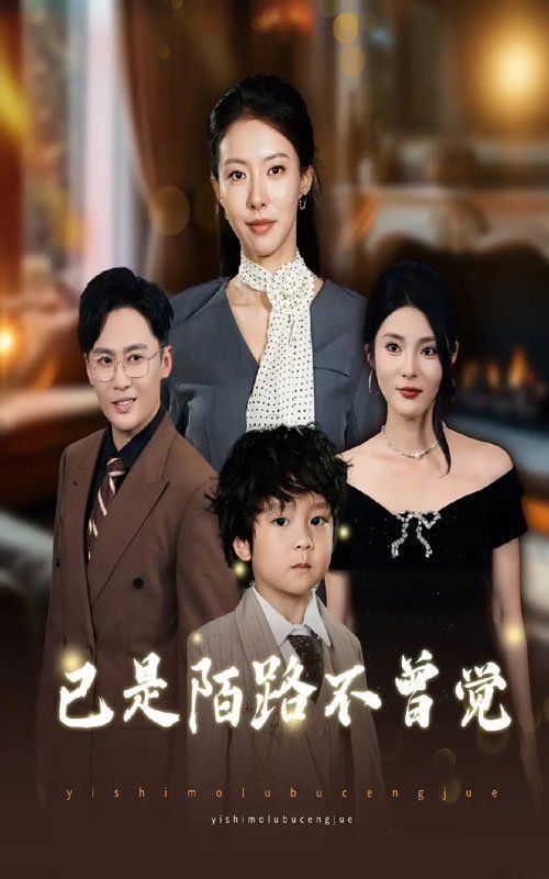 已是陌路不曾觉海报
