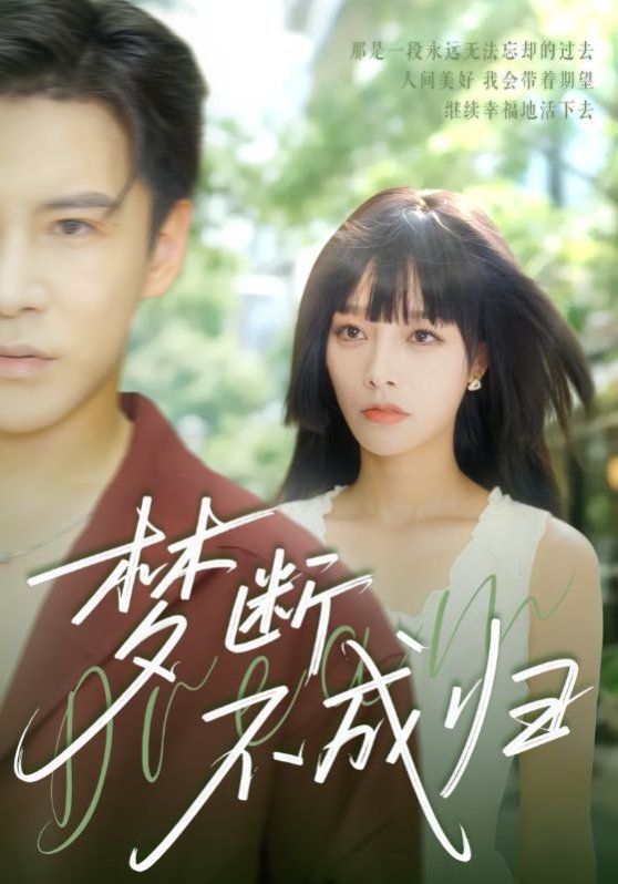 梦断不成归海报