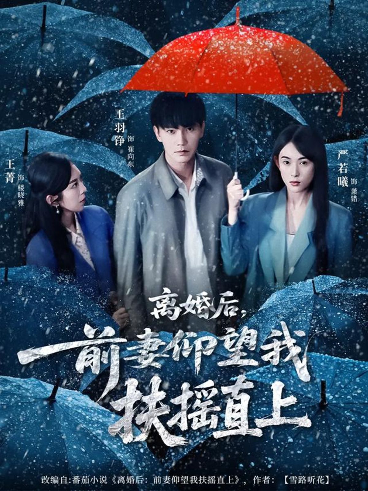 离婚后，前妻仰望我扶摇直上海报