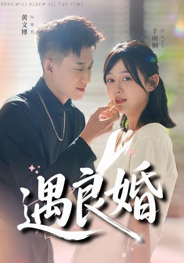 遇良婚海报