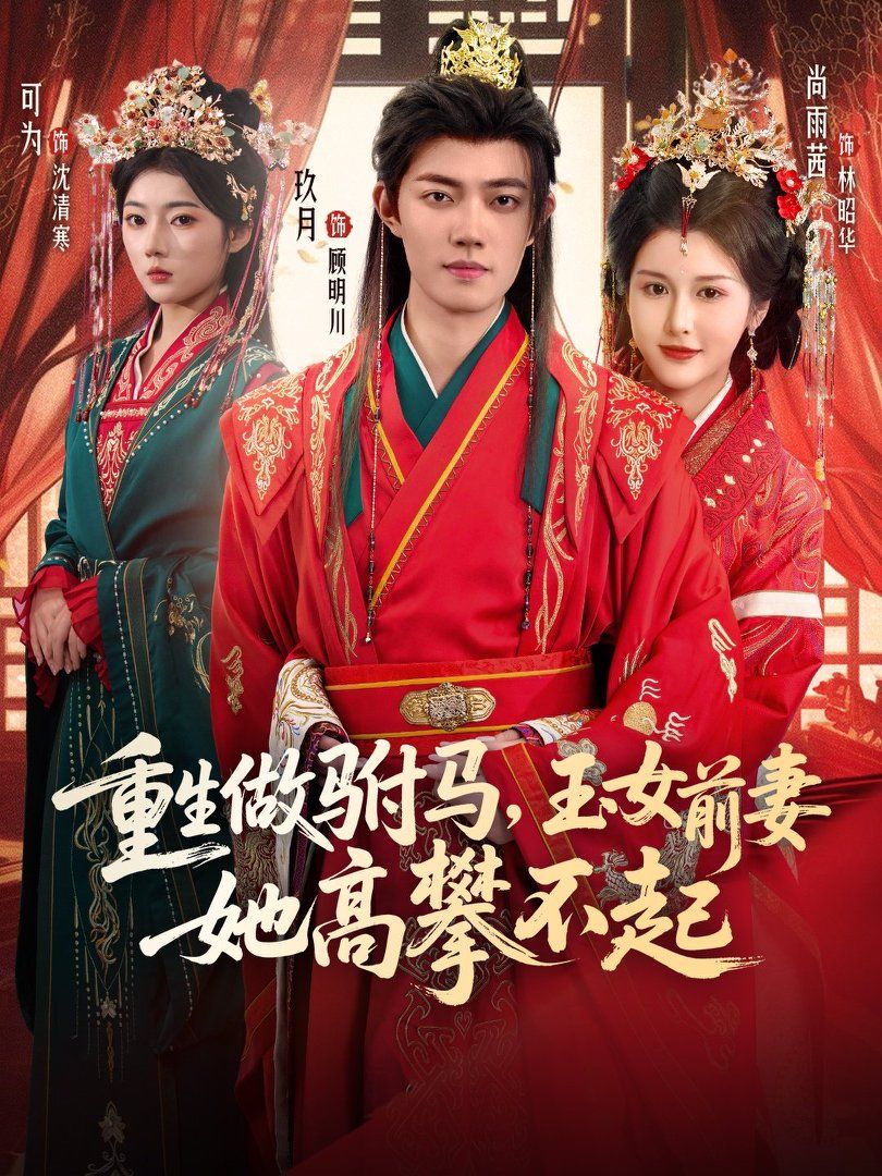 重生做驸马，玉女前妻她高攀不起海报
