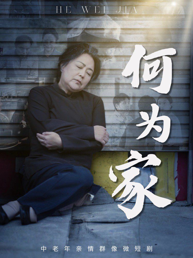 何为家海报