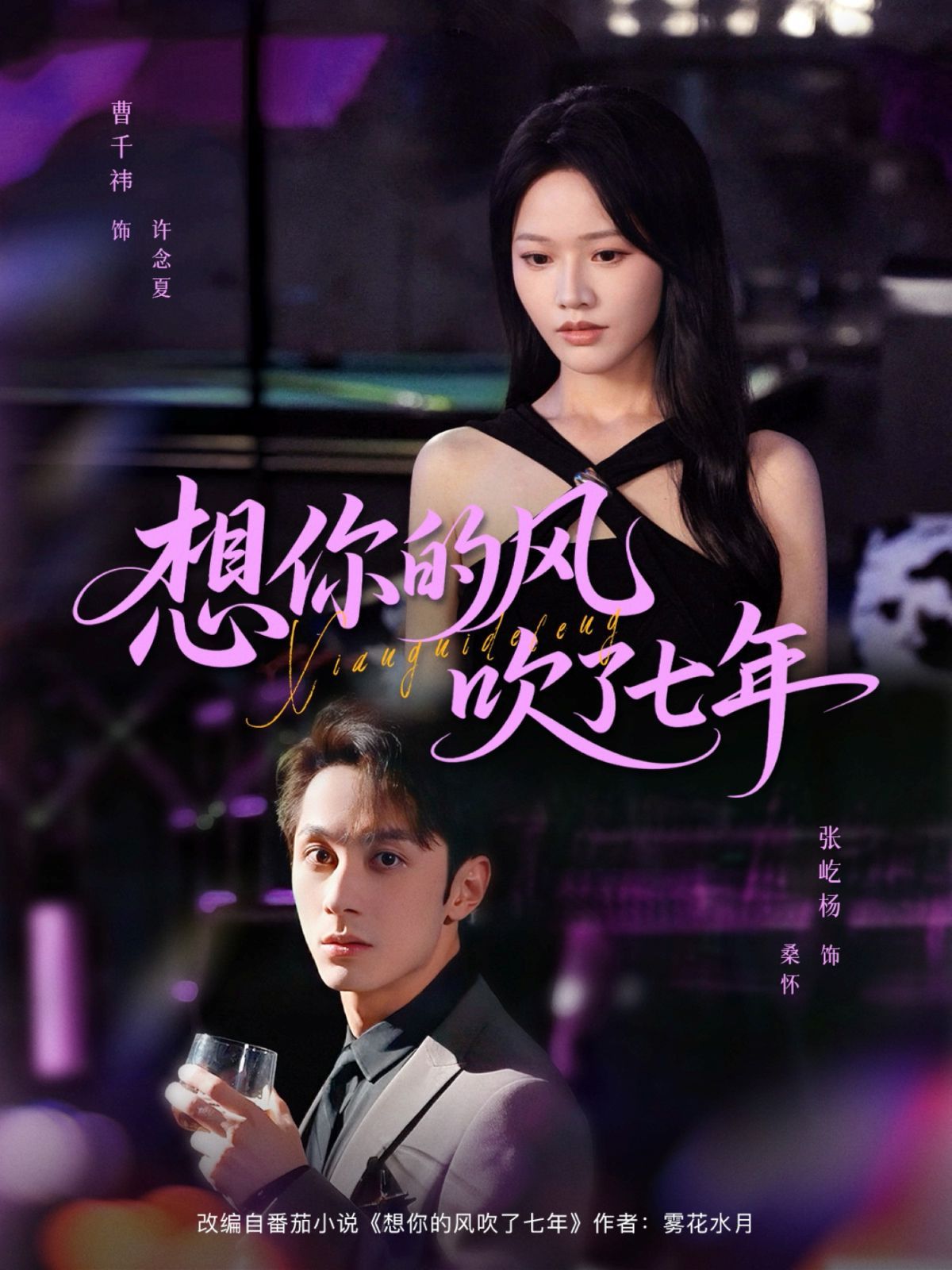想你的风吹了七年海报