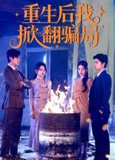 重生后我掀翻骗局海报